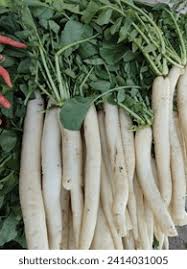 Radish (Mooli)